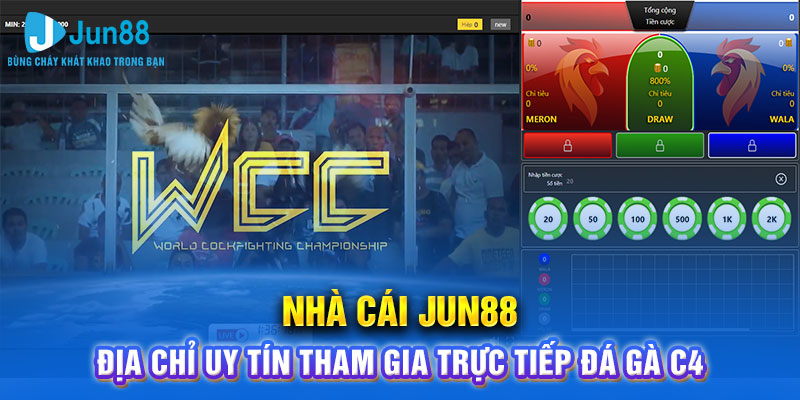 Địa chỉ uy tín tham gia trực tiếp đá gà c4